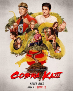 Cobra Kai الموسم 3 الحلقة 6 مترجم
