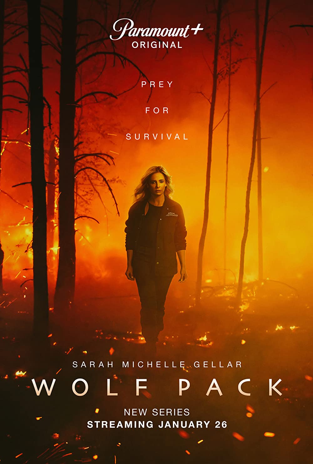 مسلسل Wolf Pack موسم 1 الحلقة 7 مترجمة