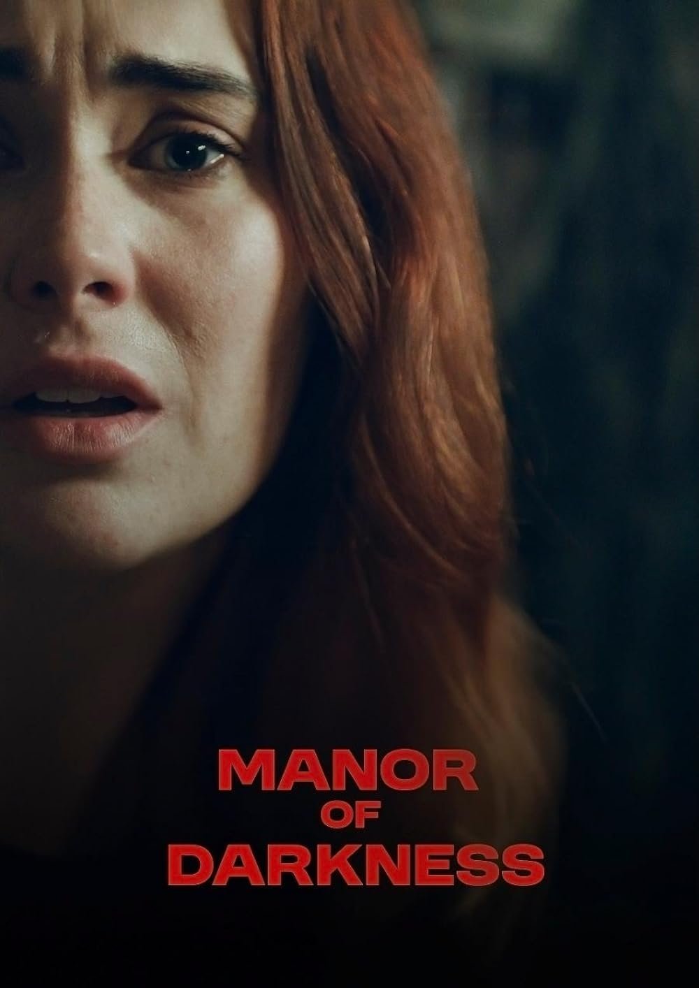 مشاهدة فيلم Manor of Darkness 2025 مترجم اون لاين
