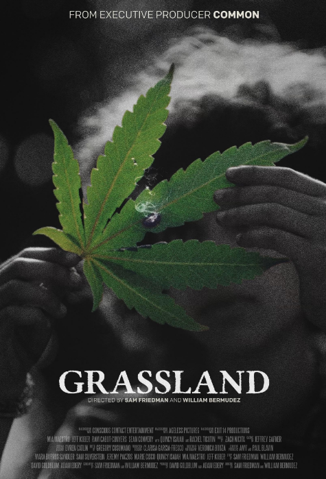 مشاهدة فيلم 2024 Grassland مترجم اون لاين